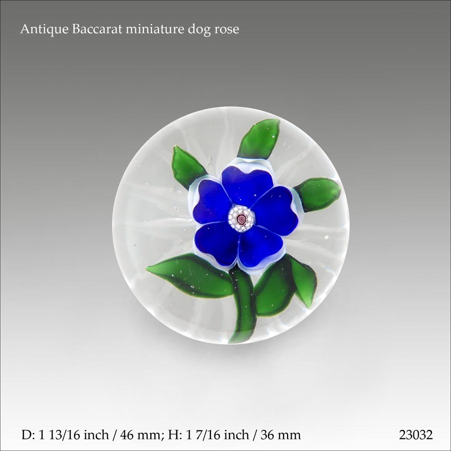 Baccarat dog rose paperweight (ref. 23032)