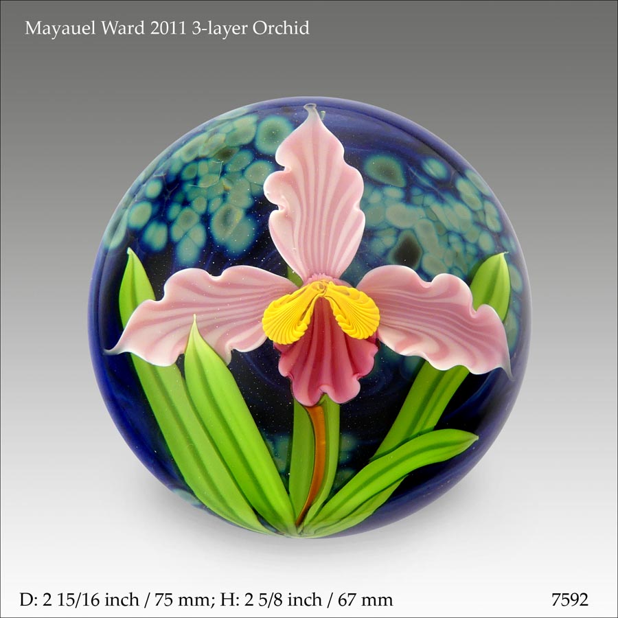 Mayauel Ward flower paperweight (ref. 7592)
