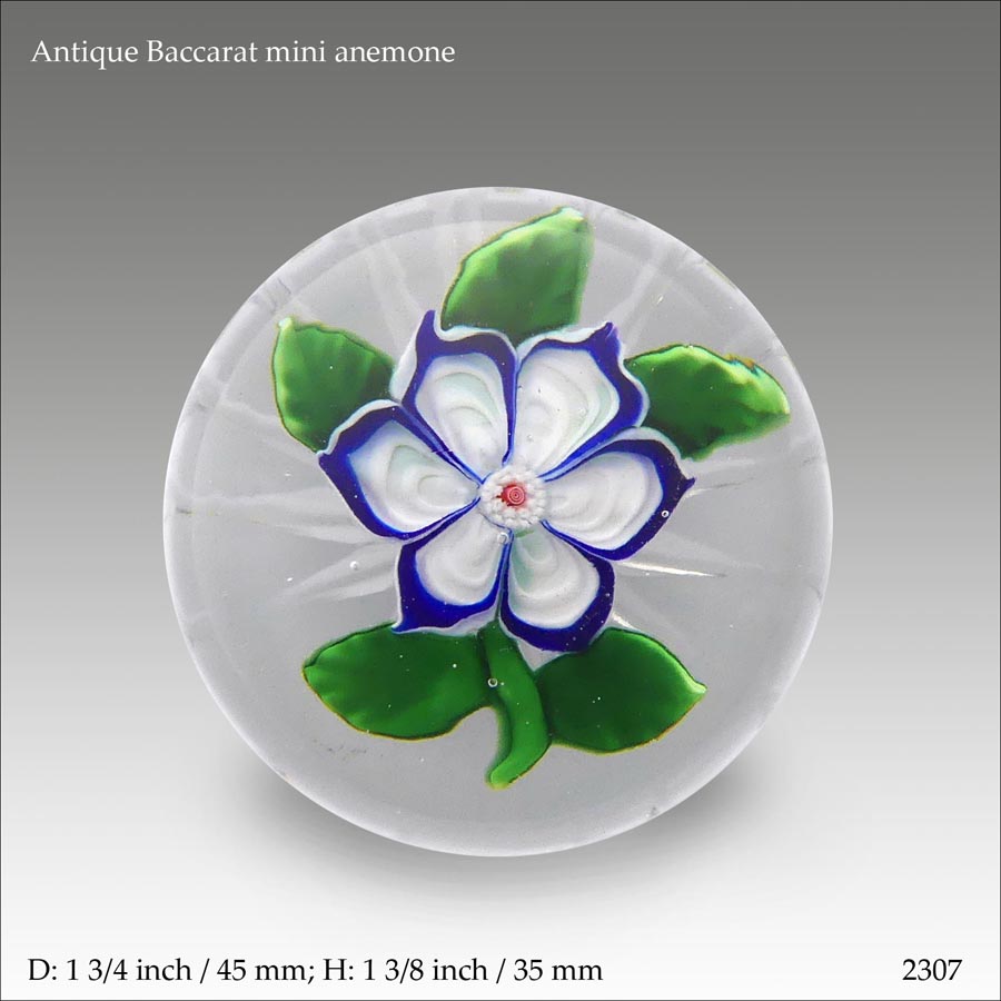 Antique Baccarat anemone paperweight (ref. 2307)