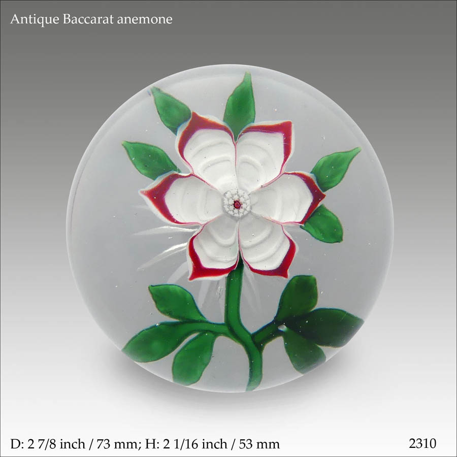 Antique Baccarat anemone paperweight (ref. 2310)